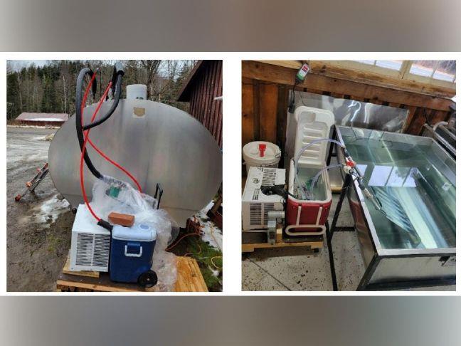 NNYAD grant funds DIY maple sap chiller invention – Sun Community News
