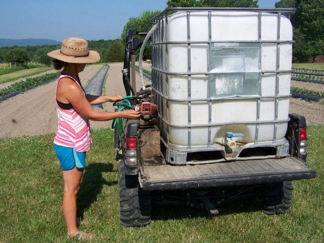 Addison Co. farms partnering with Vt. Produce Program | Sun Community ...